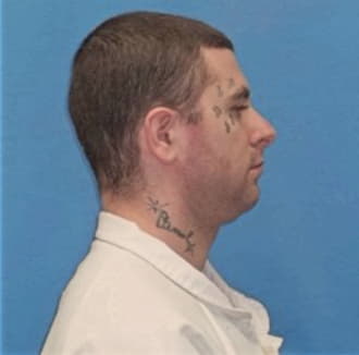WOODARD, MATHIEW T., Vermilion County  IL