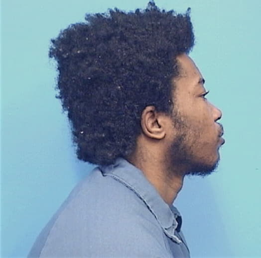 NELSON, CHAPMAN, Cook County  IL