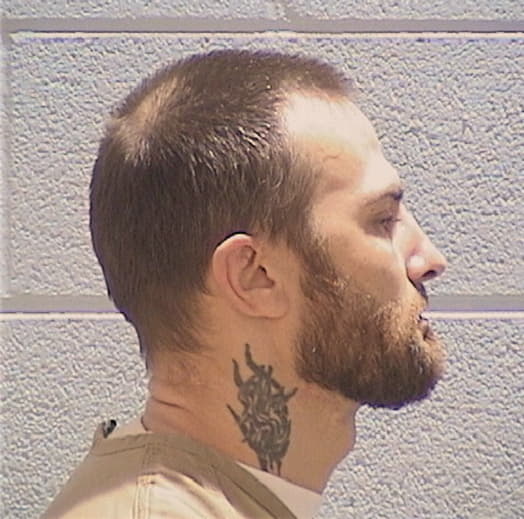 STANFORD, TIMOTHY J., Lasalle County  IL