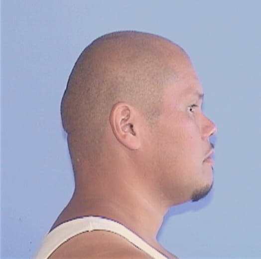 REYES, NICOLAS M., Will County  IL