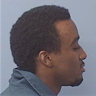 ADAMS, ROBERT, Cook County  IL
