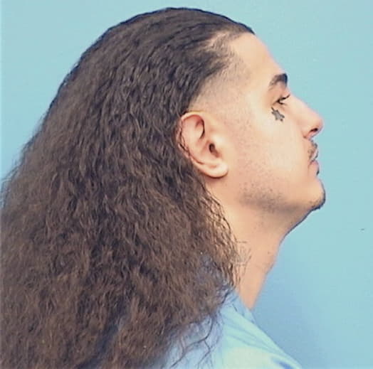 DURAN, JESUS, Cook County  IL