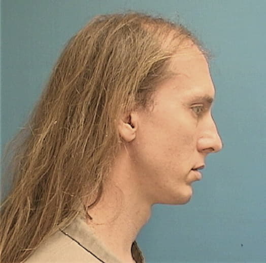 RICHARDSON, ISAAC K., Champaign County  IL