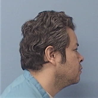 CARNALLA-RUIZ, GERSON, Cook County  IL
