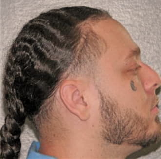 PEREZ, JOSHUA, Cook County  IL