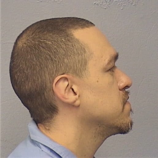 HERNANDEZ, ANTHONY, Cook County  IL