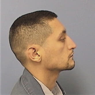 GARCIA, CRISTIAN, Kane County  IL