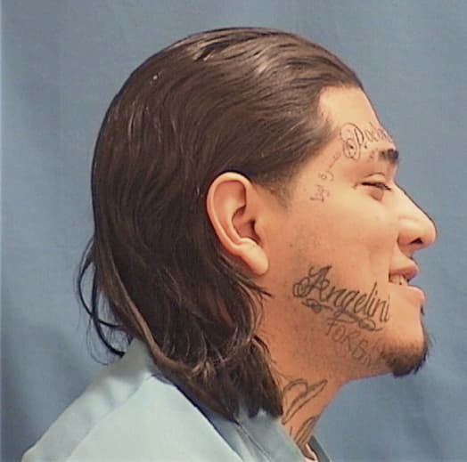 RAMIREZ, FERNANDO, Cook County  IL