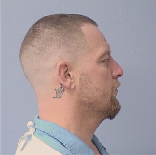 PITMAN, MICHAEL R., Sangamon County  IL