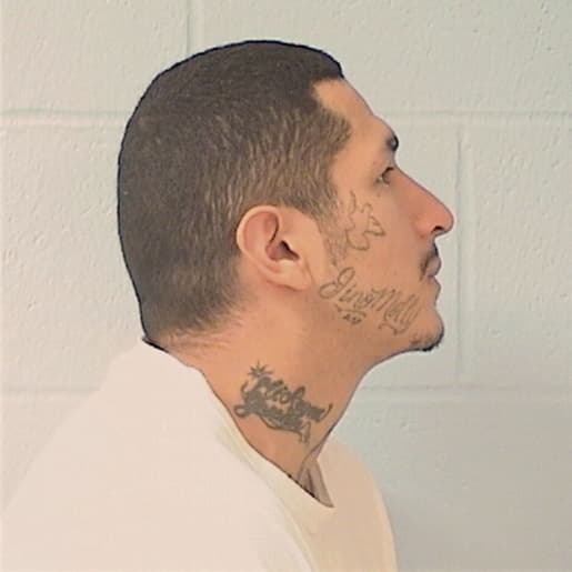 CARRASCO, RICCO, Cook County  IL