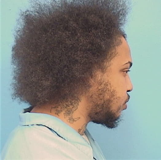 ROBINSON, JOSEPH A., Will County  IL