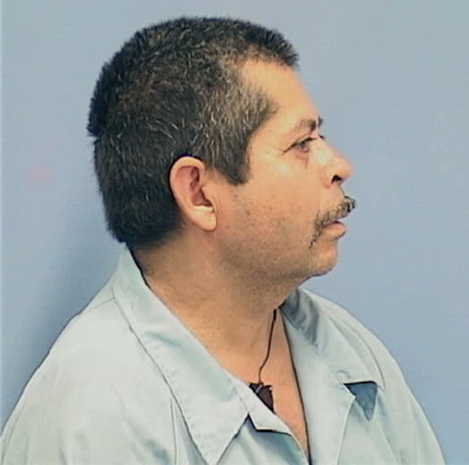 CEDILLO DELGADILLO, RAUL, Lake County  IL