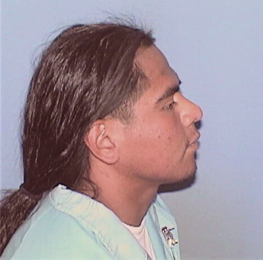 MENDIOLA, ARTURO, Cook County  IL
