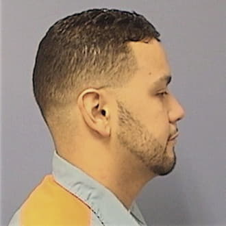 LEDESMA, JOSEPH, Will County  IL