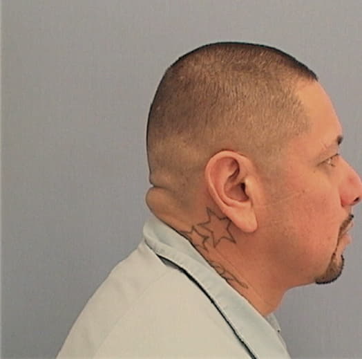 SANCHEZ-FLORES, HUGO F., Lake County  IL