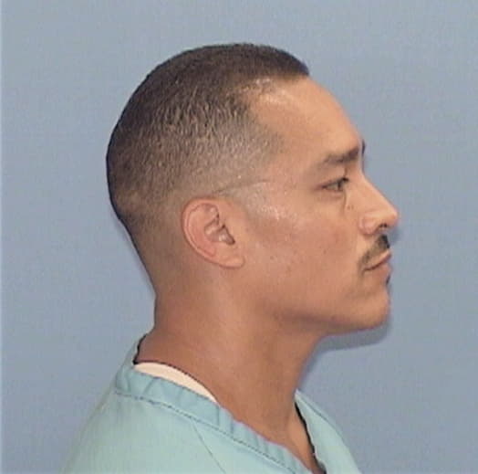 DIAZ-LANDA, ALFONSO, McHenry County  IL