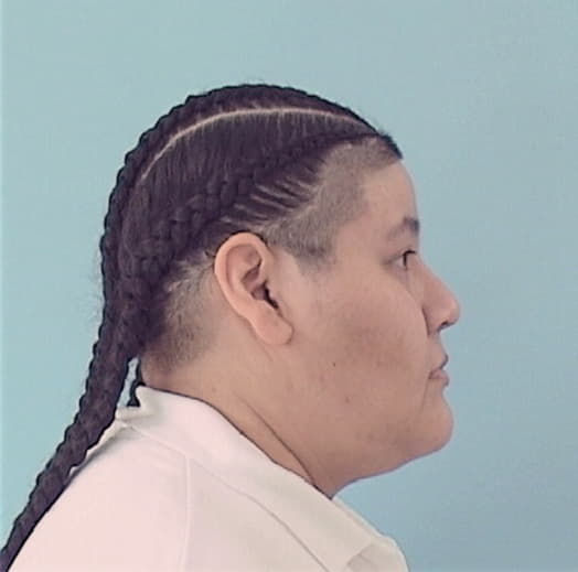 DIAZ, ELIZABETH, Cook County  IL