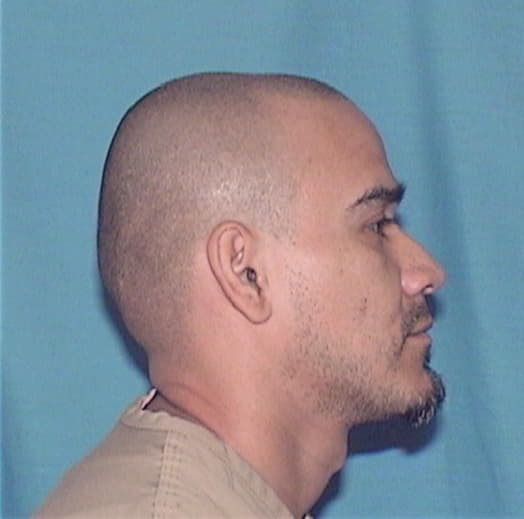 URIETA-DOMINGUEZ, JESUS, Kane County  IL