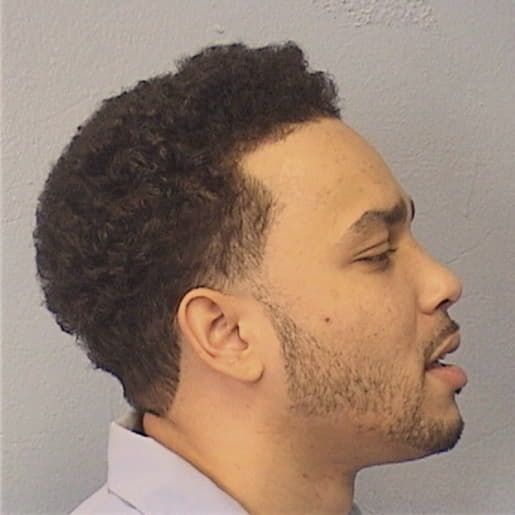 WHITE, CAMERON E., Lake County  IL