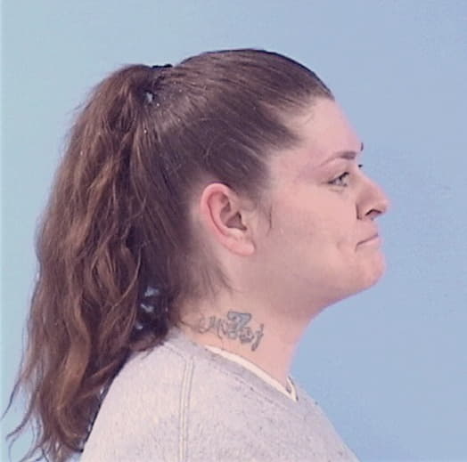 SALLEE, MELISSA J., Henry County  IL