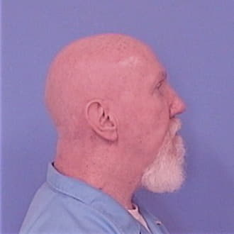 HEDDEN, BRUCE W., Tazewell County  IL