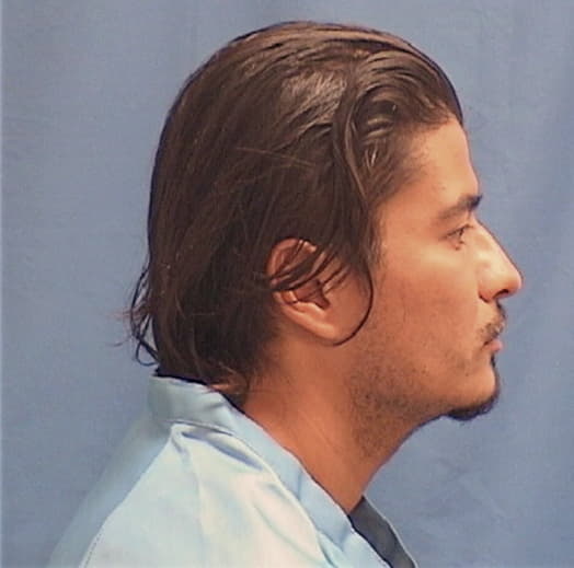 DIAZ, ALEX, Cook County  IL