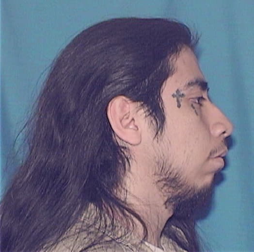 GONZALEZ, ERNESTO JR, Cook County  IL