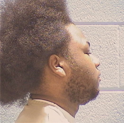 WHITE, REGINALD D., Winnebago County  IL