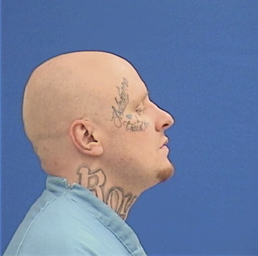 HUNT, ROBERT A., Sangamon County  IL