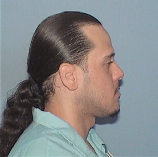 RODRIGUEZ, JOSE, Cook County  IL