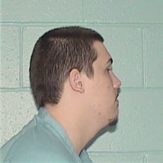 PANZIER, DAVID R., Madison County  IL