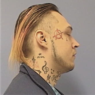 MILASHOSKI, DYLLAN J., Will County  IL