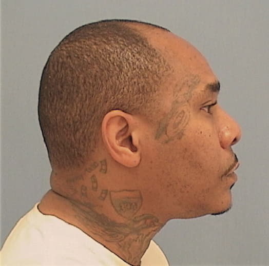 THOMPSON, DARNELL, Cook County  IL