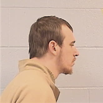 MCCONNAUGHEY, ANDREW, McLean County  IL