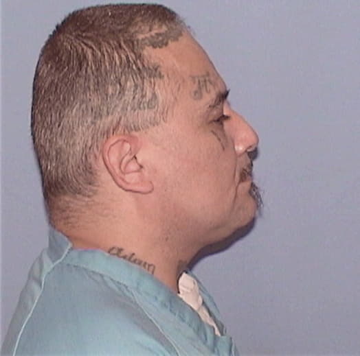 HERNANDEZ, DANIEL, Cook County  IL