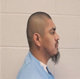 ORTIZ, RAUL, Will County  IL