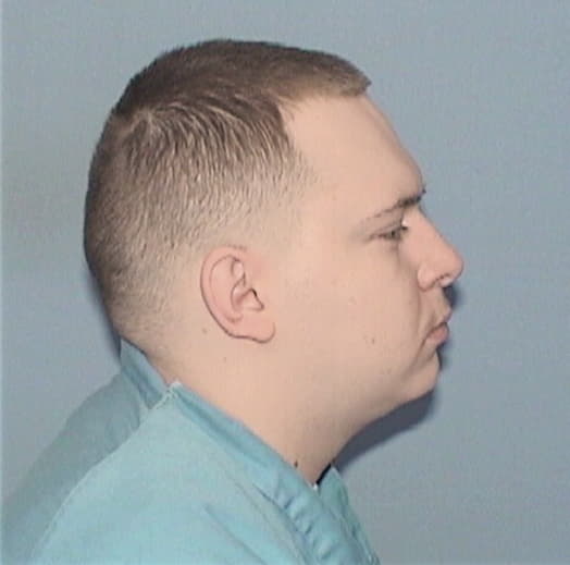 SCHWAB, ANTHONY J., Whiteside County  IL