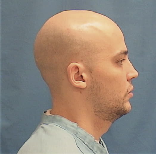 FATHEREE, NICHOLAS G., Woodford County  IL
