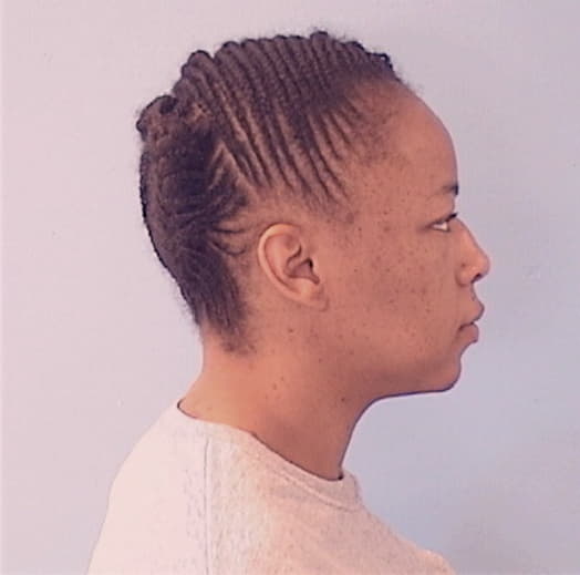 RICE, DEANDREA, Cook County  IL