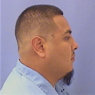 DELGADO, ARMANDO, Kane County  IL