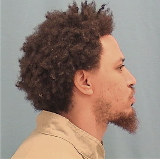 WARD, BRANDON T., Will County  IL