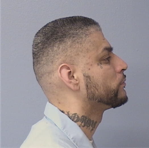 DOMINGUEZ, RENE, Cook County  IL