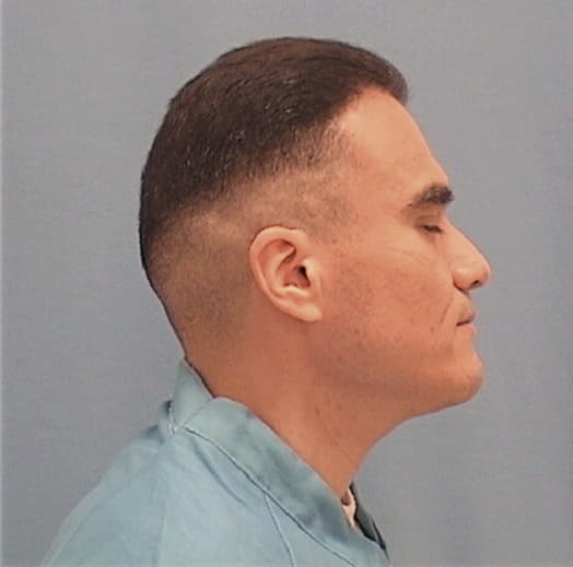 MARTINEZ, RENE, Will County  IL