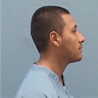 TORRES-HERNANDEZ, ALBERTO, Champaign County  IL