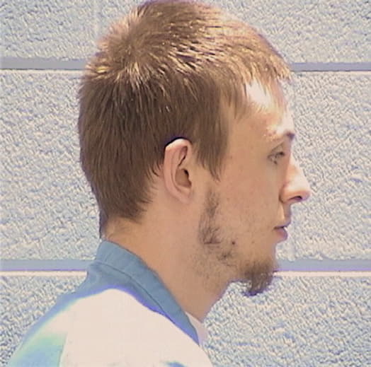 BINERT, JUSTIN T., Will County  IL