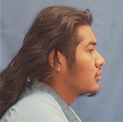HERNANDEZ, HURIEL, Cook County  IL