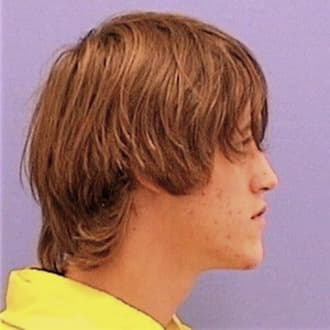 THOMPSON, JOSHUA D., Bureau County  IL