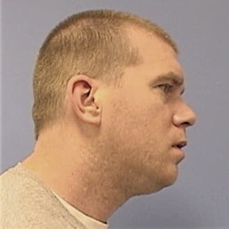 MCLEAN, TIMOTHY V., Madison County  IL