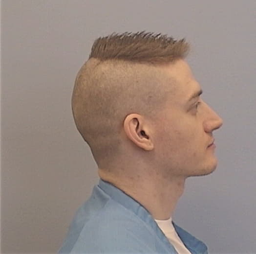 RYAN, PATRICK J., Lake County  IL