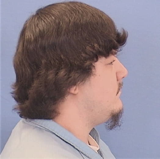 HEAD, HUSTON, Tazewell County  IL